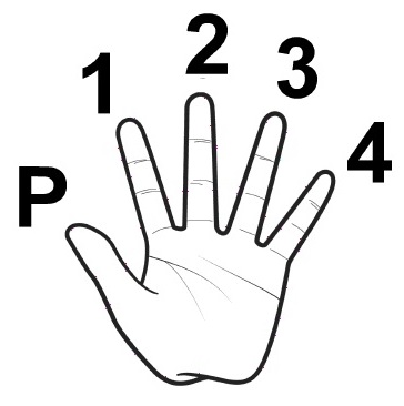 Notation des doigtés